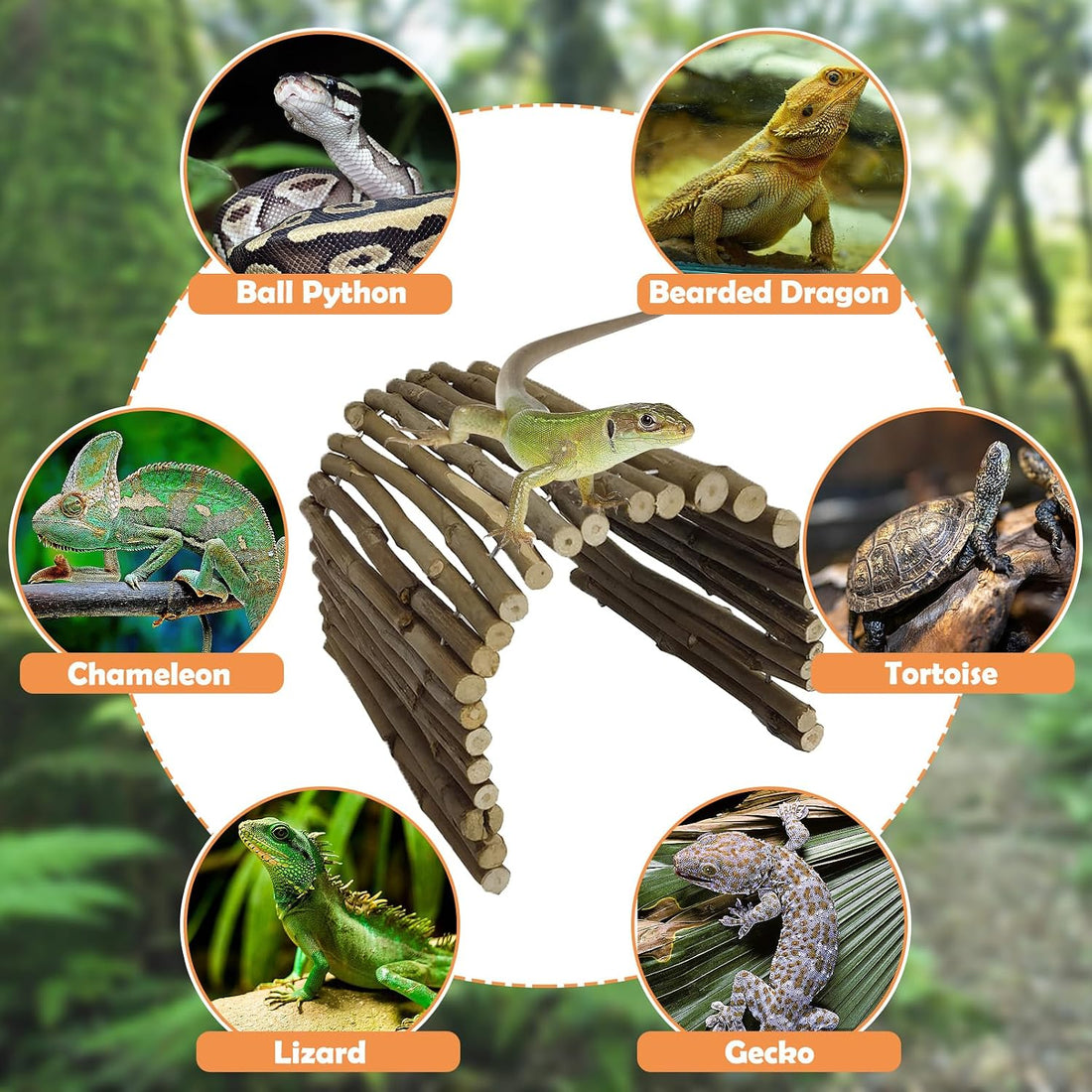 Hamiledyi Extra Large Tortoise Hide Reptile Hideout Wood Turtle Tunnel