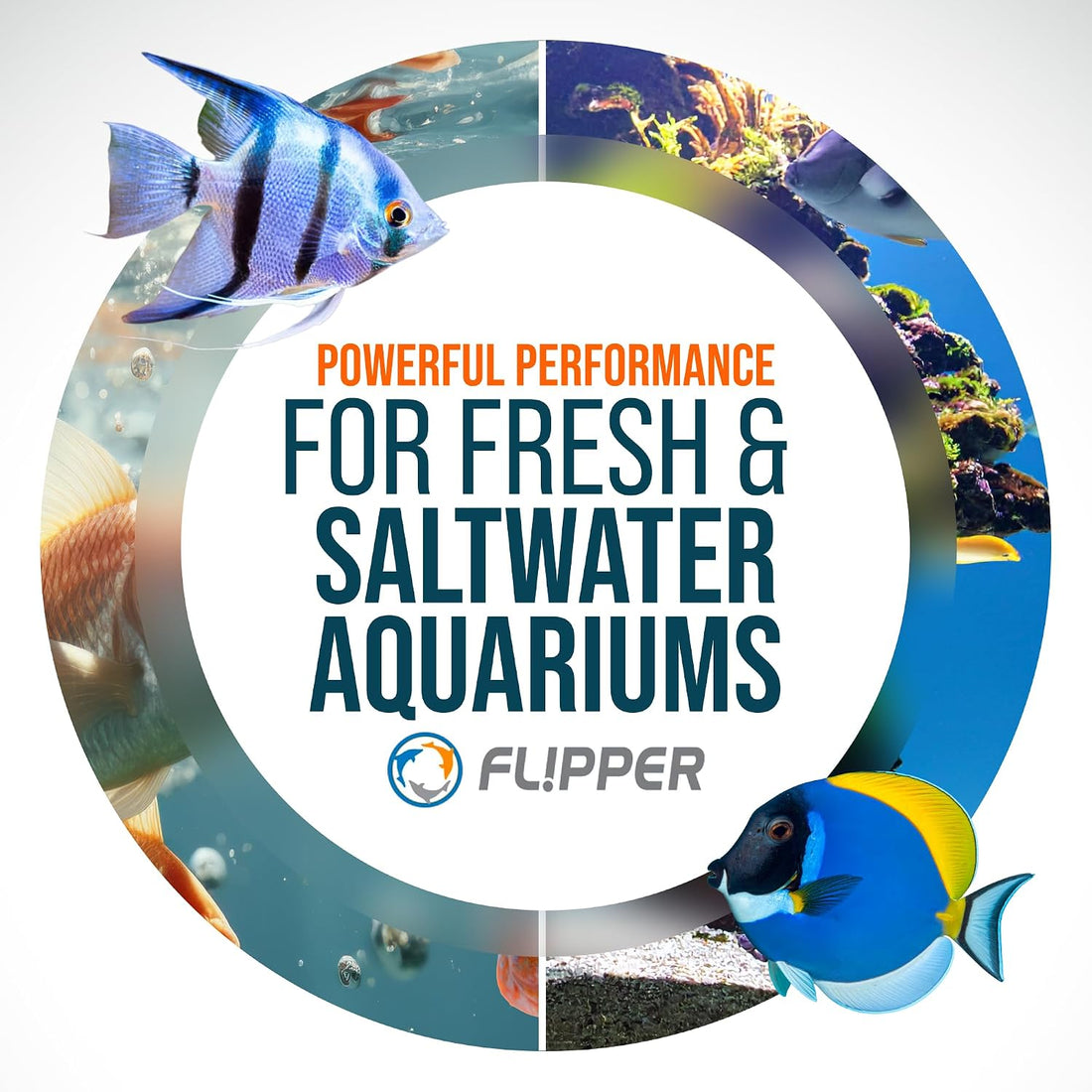 Standard. Flipper Edge Magnetic Aquarium Glass Cleaner Algae Scraper