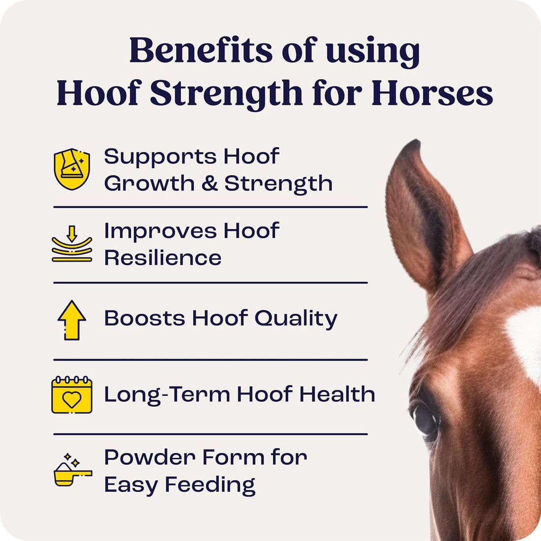 Summit Equine Hoof Strength Powder for Horses