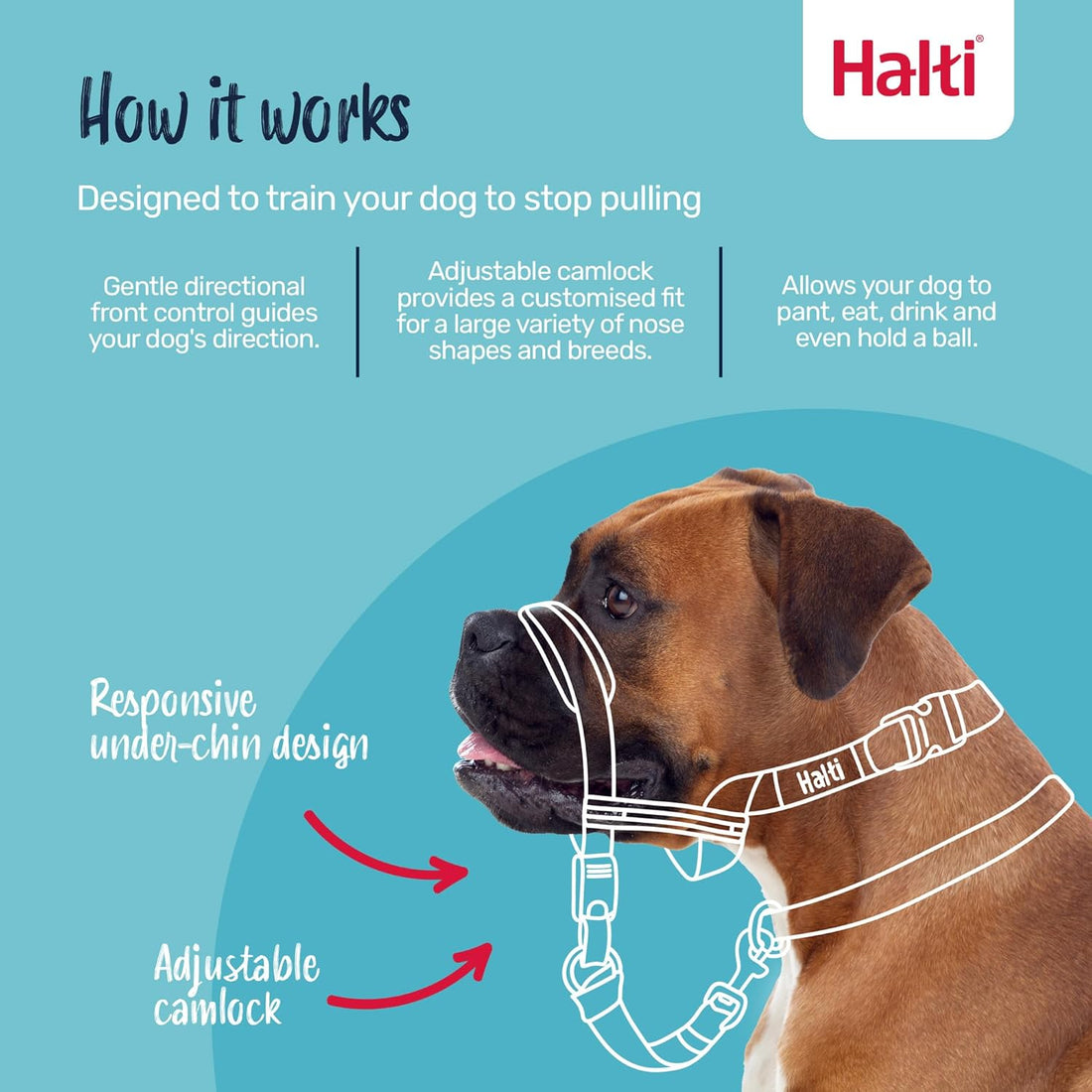 Halti Optifit Headcollar for Dogs | Size L