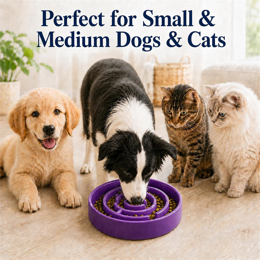 Ceramic Slow Feeder Dog Bowl