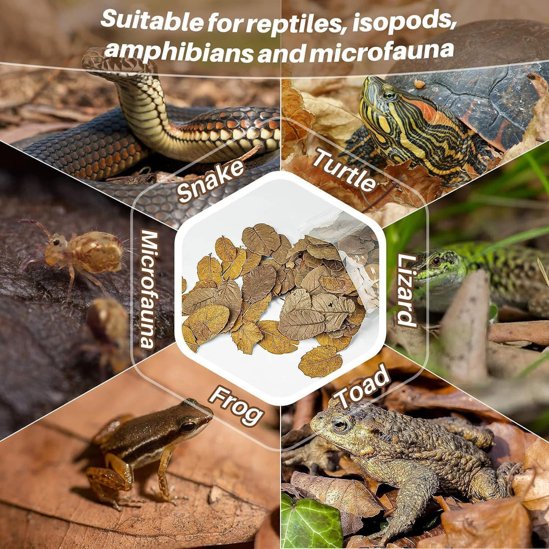 MAQIHAN 5oz Oak Leaf Litter - Dry Substrate for Reptiles Isopod
