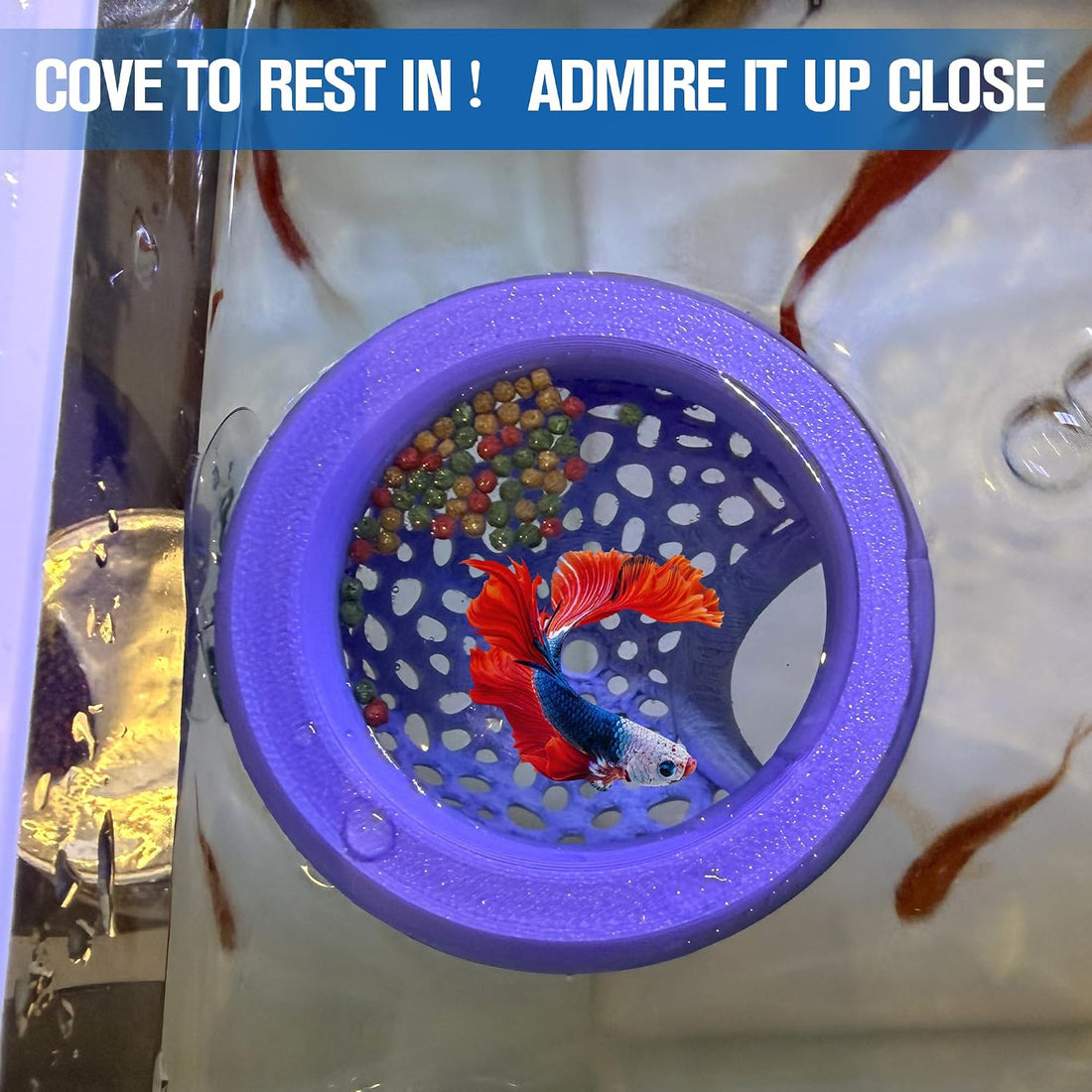 Multi-Functional Betta Hammock Feeding Bed