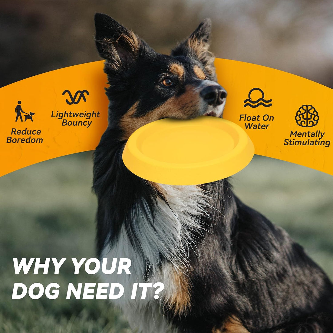 FUSOTO Dog Discs Toy, Durable Flying Discs for Throwing Catching
