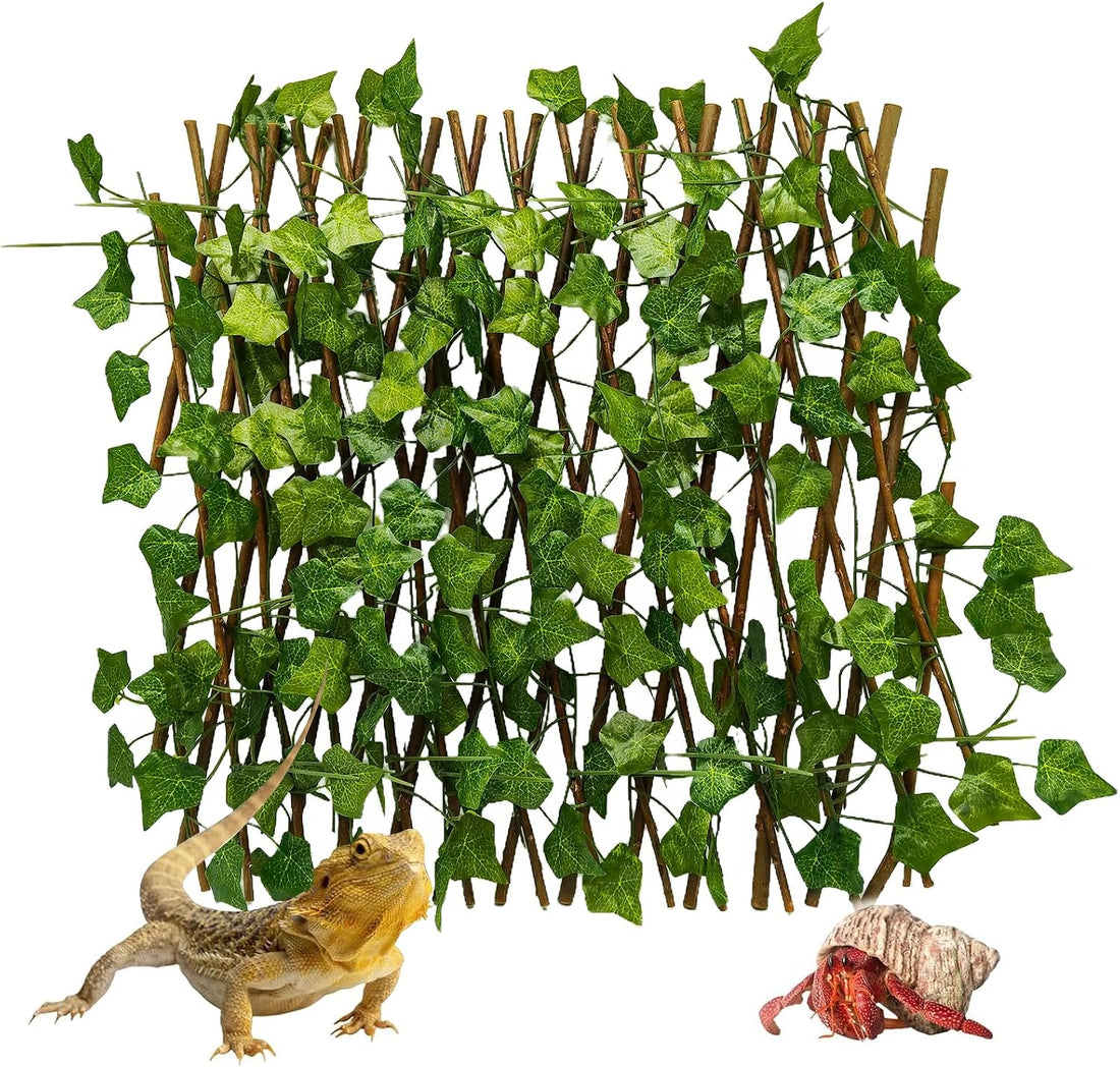 Reptile Hermit Crab Climbing Wall Toy Bearded Dragon Climb Tank