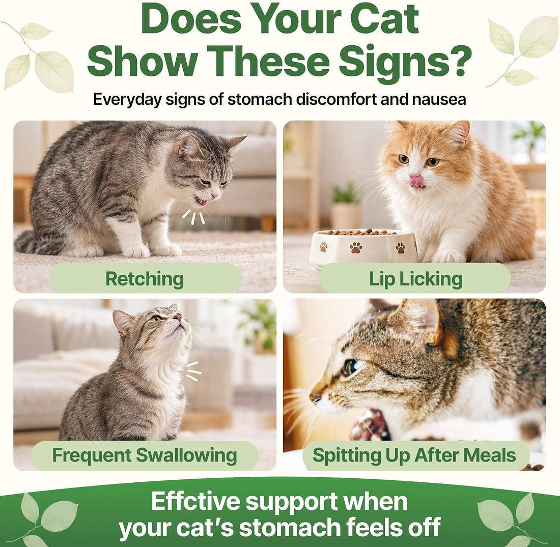 Vomit Remedy & Anti Nausea for Cats,with Probiotics&Herbs for Upset