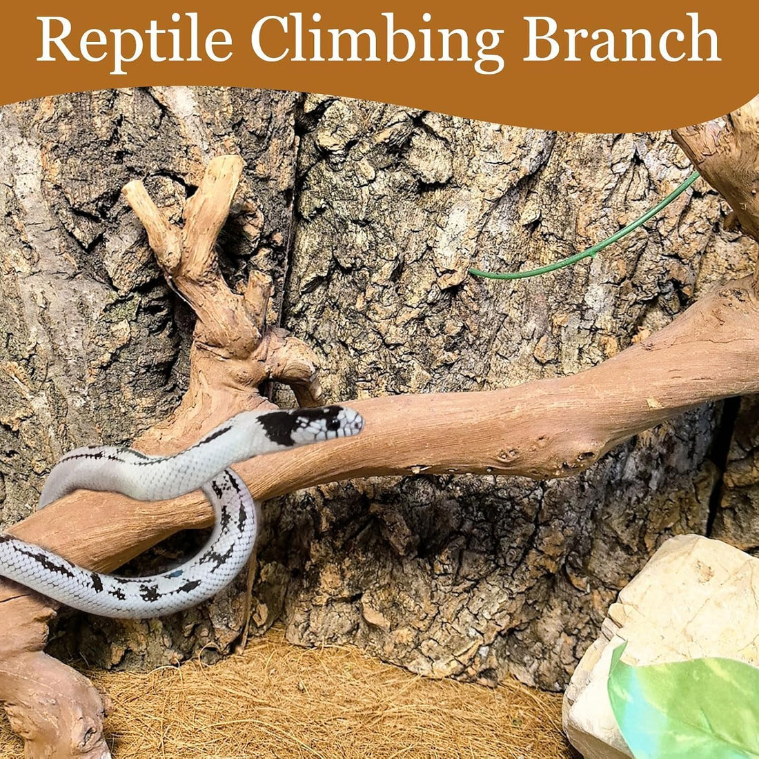 2PCS Reptile Wood Branches Decor,Snake Climbing Branch Tree Trunk