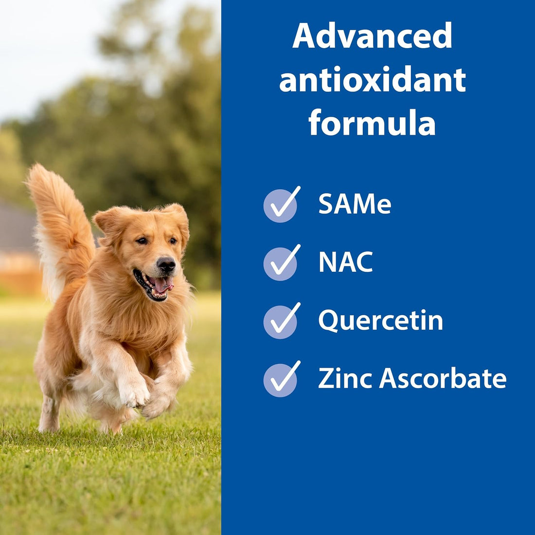 SAMeLQ Chewable Tablets