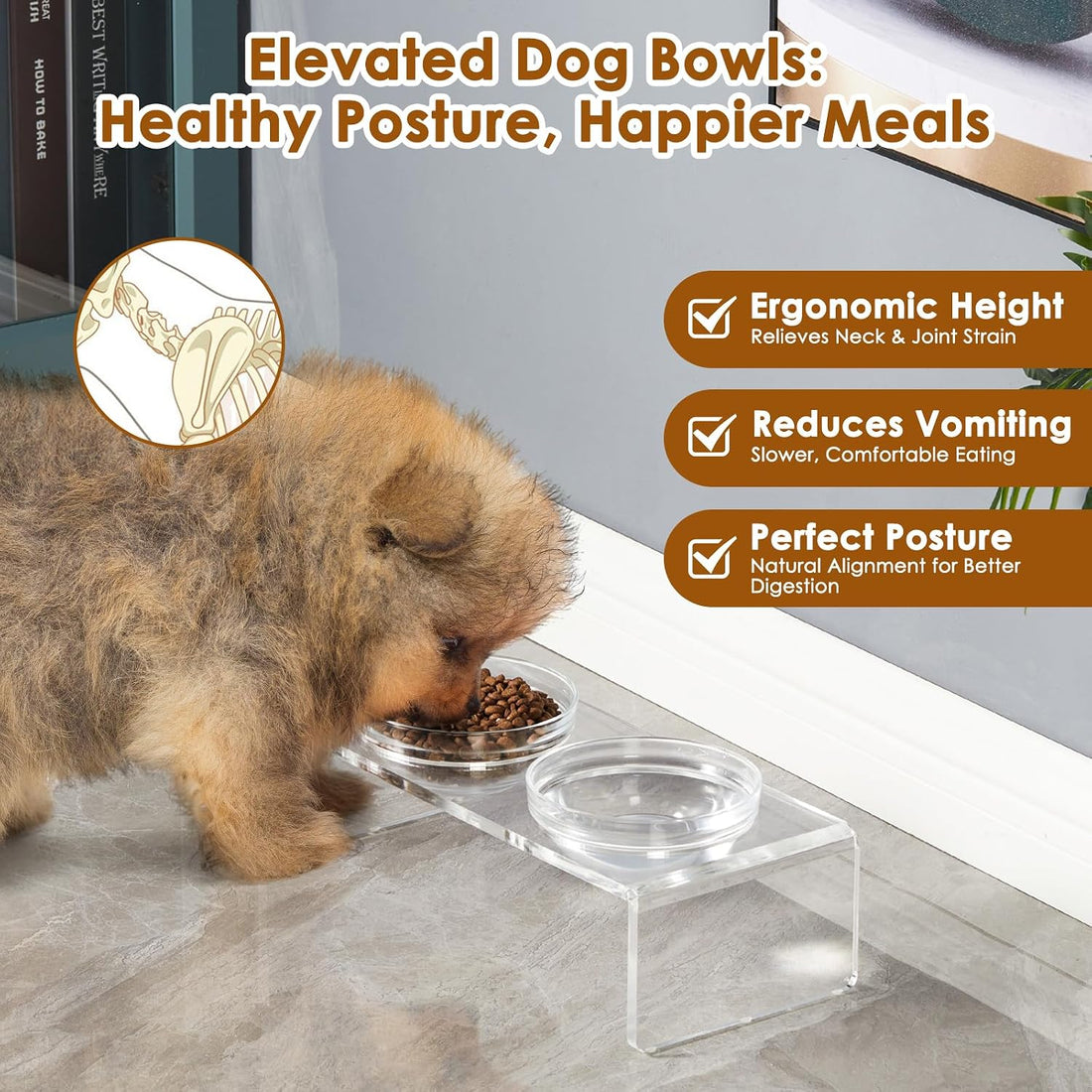 Feoyoho Elevated Acrylic Pet Bowl Stand