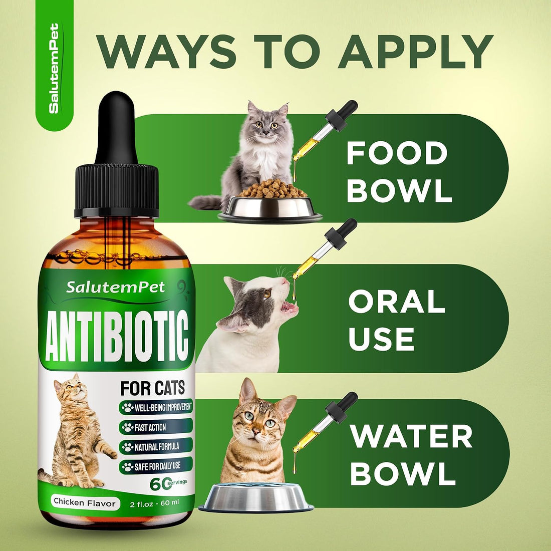 Cat Antibiotic for Infections, UTIs, Respiratory Moments, Cold