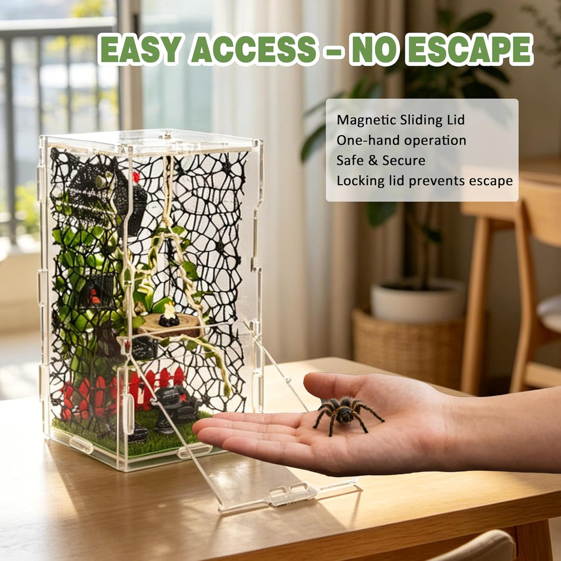 Jumping Spider Enclosure Kit 22pcs Terrarium with Decor