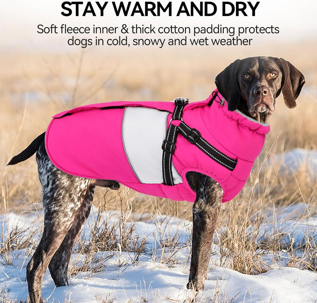 Warm Dog Coat with Harness Built in Dog Jacket for Small Dogs