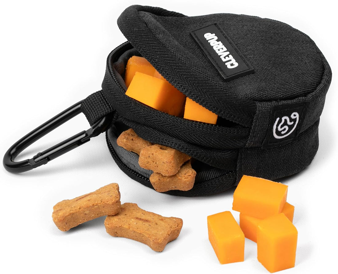 Cleverpup Snackpack Double Insulated Dog Treat Pouch