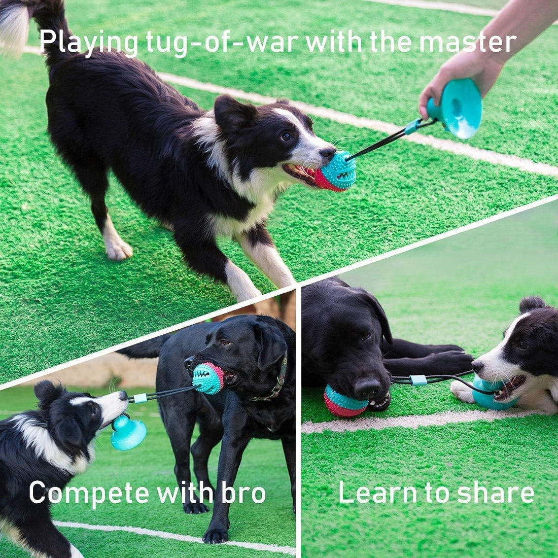 ALLRIER Dog Toys to Keep Them Busy for Boredom,Interactive Dog Toys