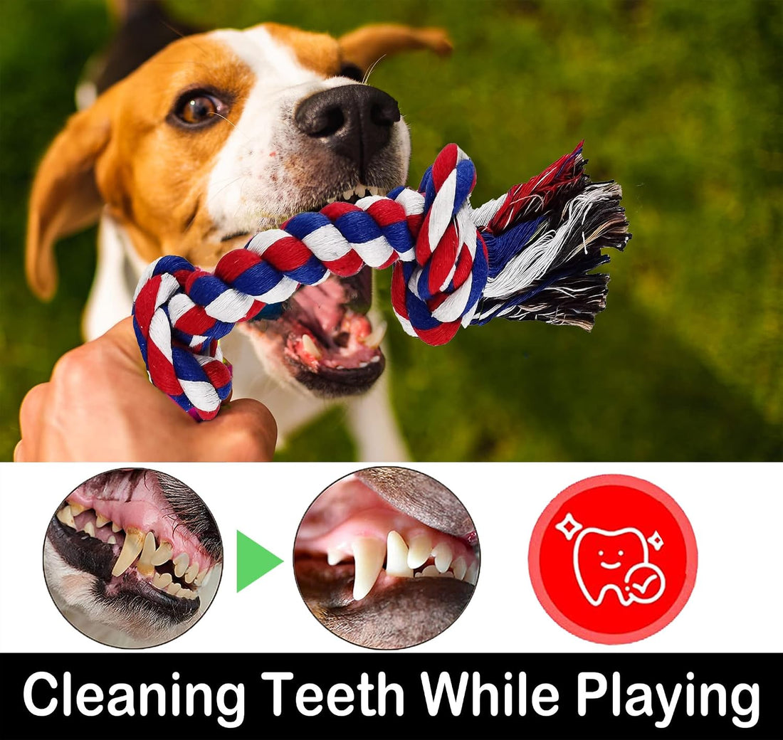 LosFong Large Dog Chew Toys for Aggressive Chewers