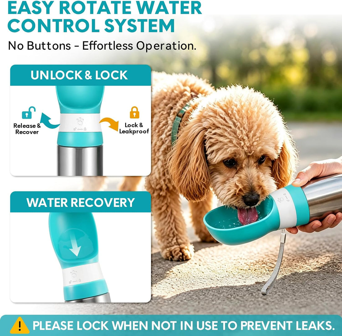Portable Dog Water Bottle, 14 OZ Stainless Steel Pet Travel Bowl, Blue