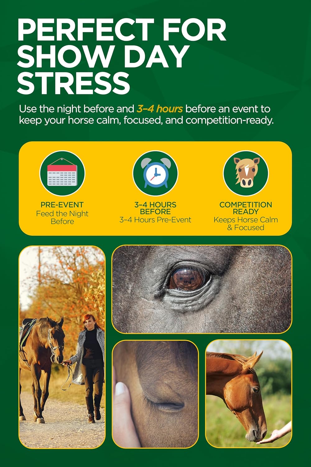 TRM Good as Gold Horse Paste