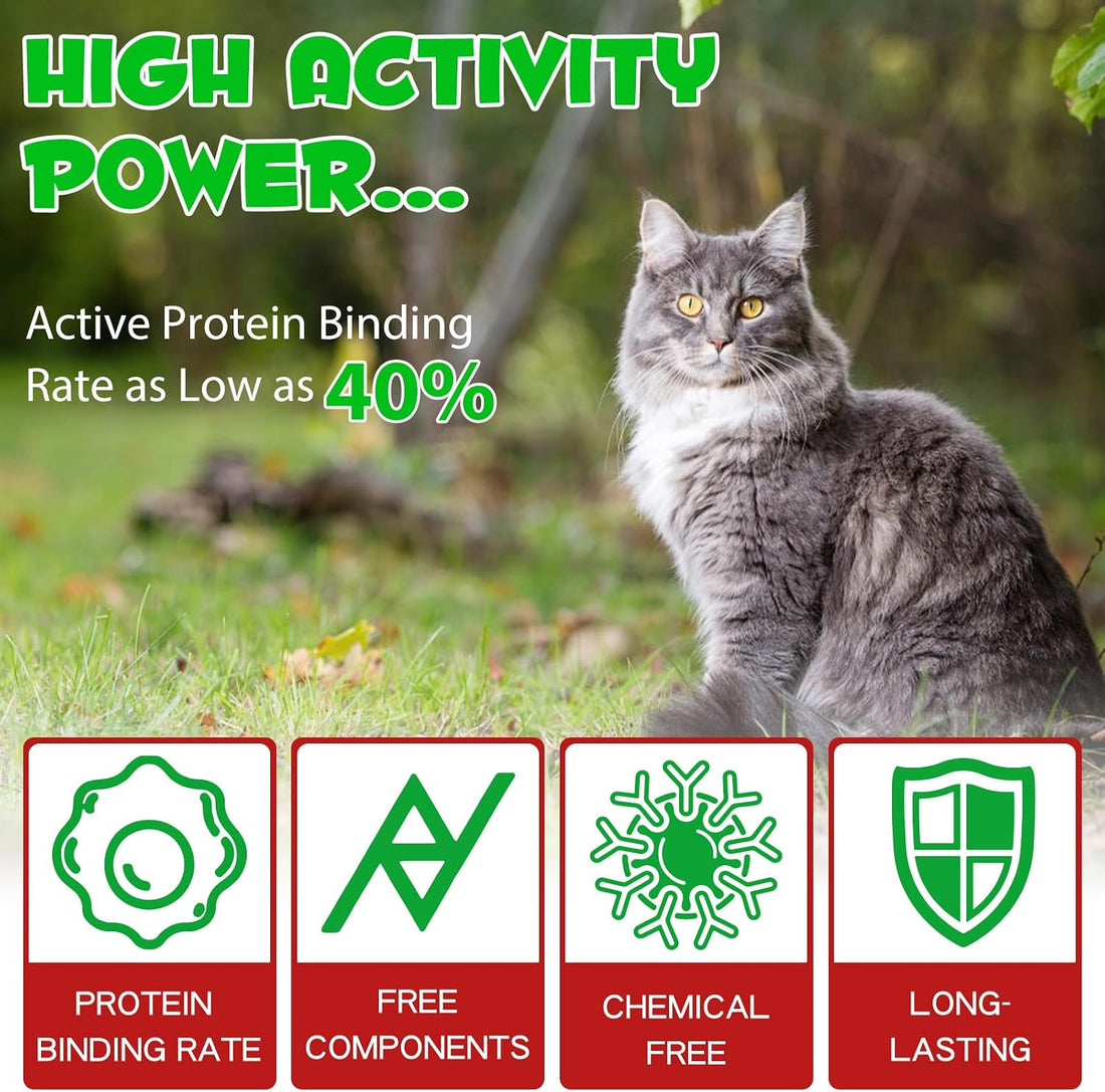 Urinary Tract for Cats, Natural Cat Urinary Tract Infection Treatment