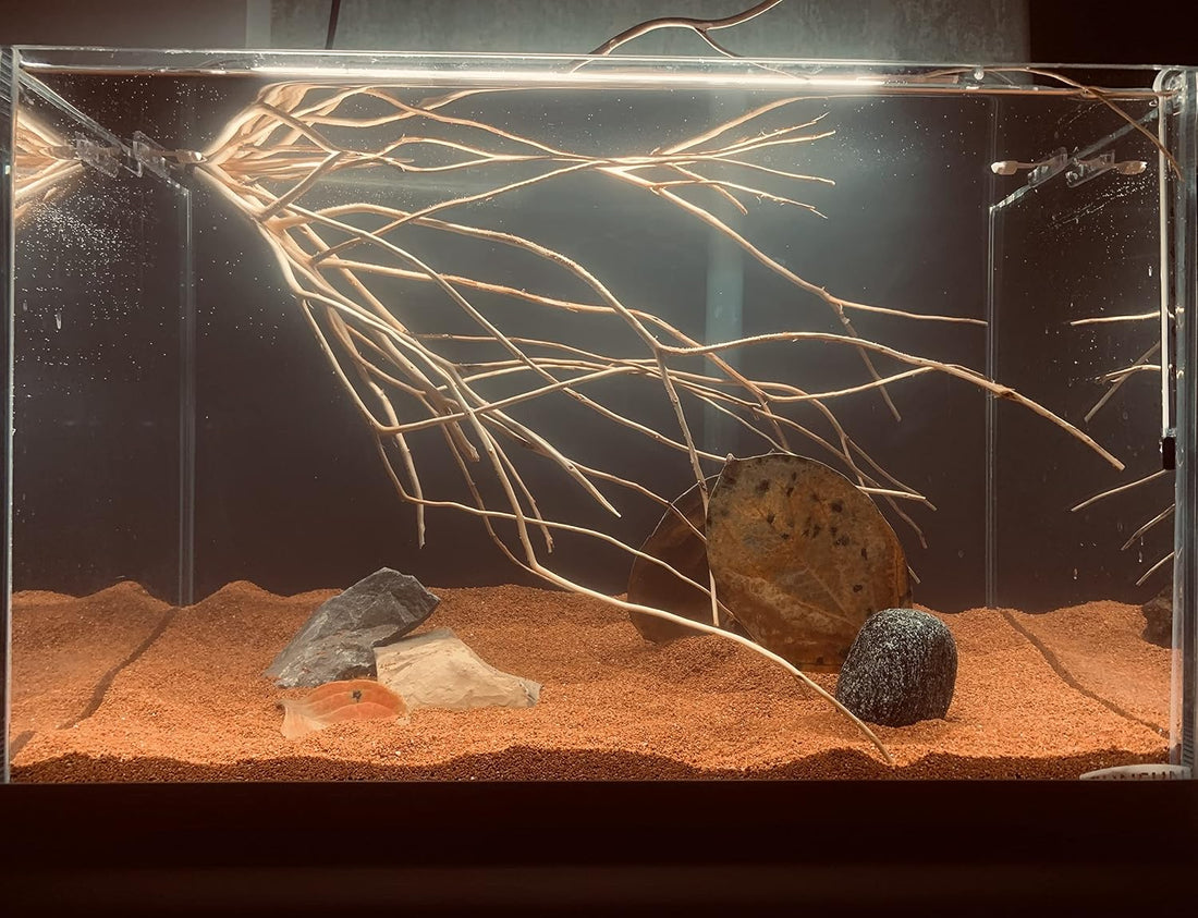AWXZOM 11lb Natural South American Rainforest Sand, Aquarium red Sand