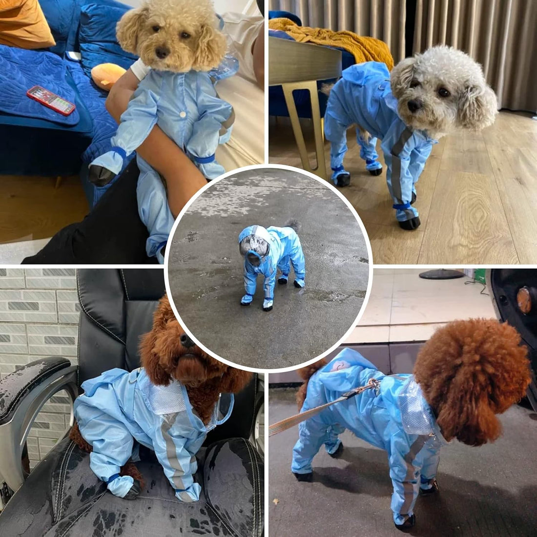 Full Coverage Small Dog Raincoat, Waterproof with Four-Leg Protection