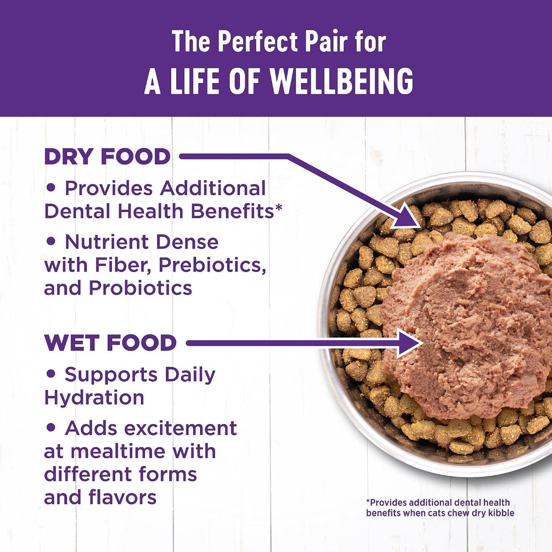 Wellness Complete Health Adult Dry Cat Food for Indoor Cats, Natural