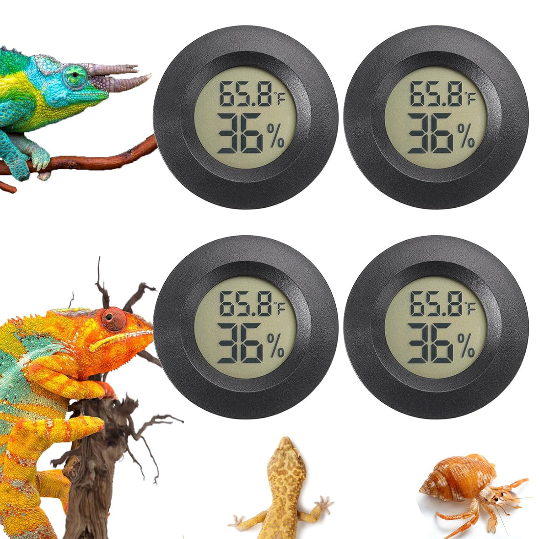 Reptile Thermometer and Humidity Gauge Digtal Terrarium Thermometer