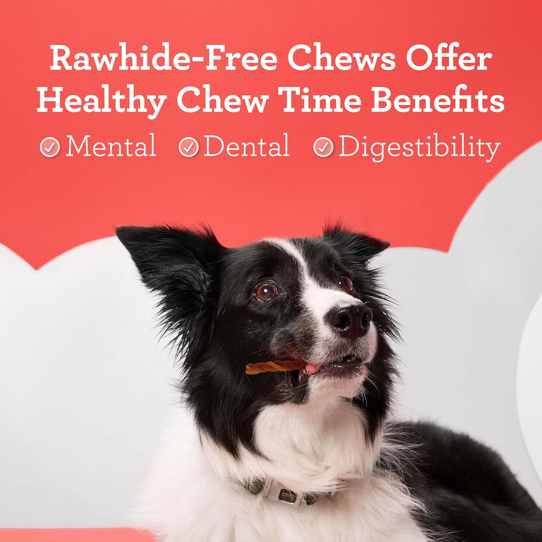 DreamBone Triple Flavor Rawhide-Free Dog Chews