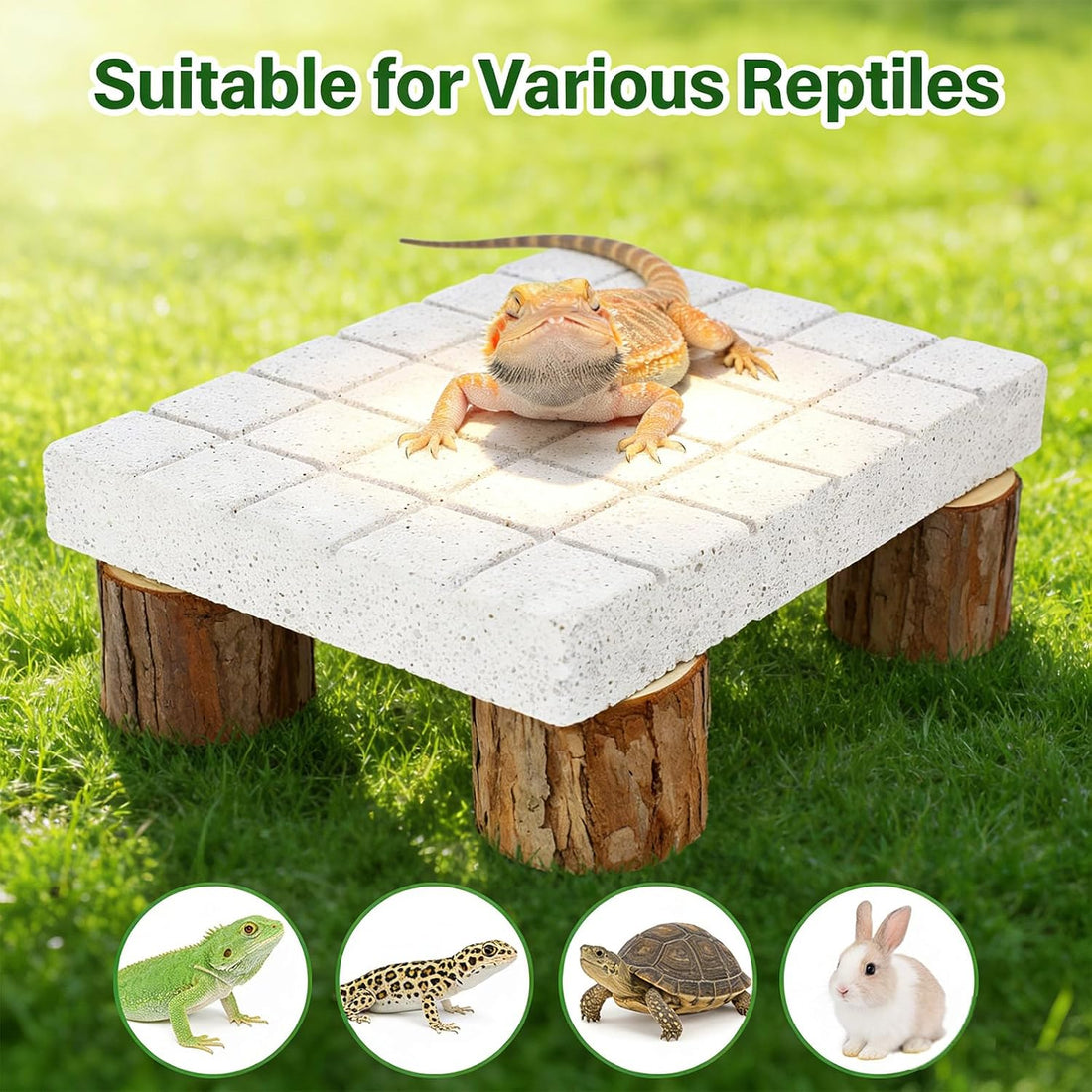 Bearded Dragon Tank Accessories Shedding Rock Reptile Basking Platform