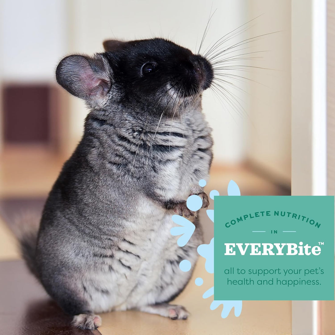 Oxbow Essentials Chinchilla Food, Made with Oxbow Alfalfa
