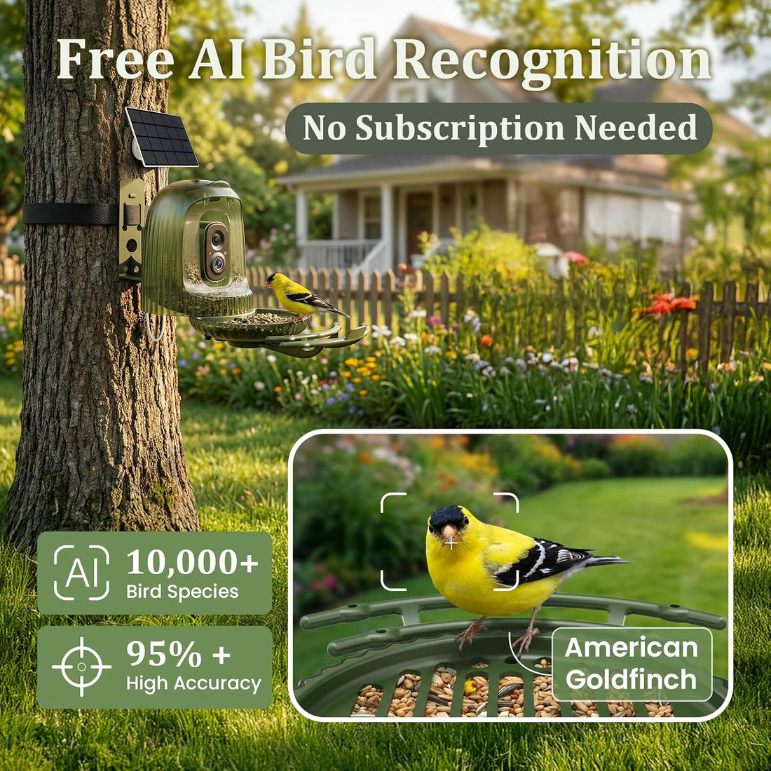 HIXX x COOLFLY Bird Feeder with Camera Solar Powered, Free AI Bird ID