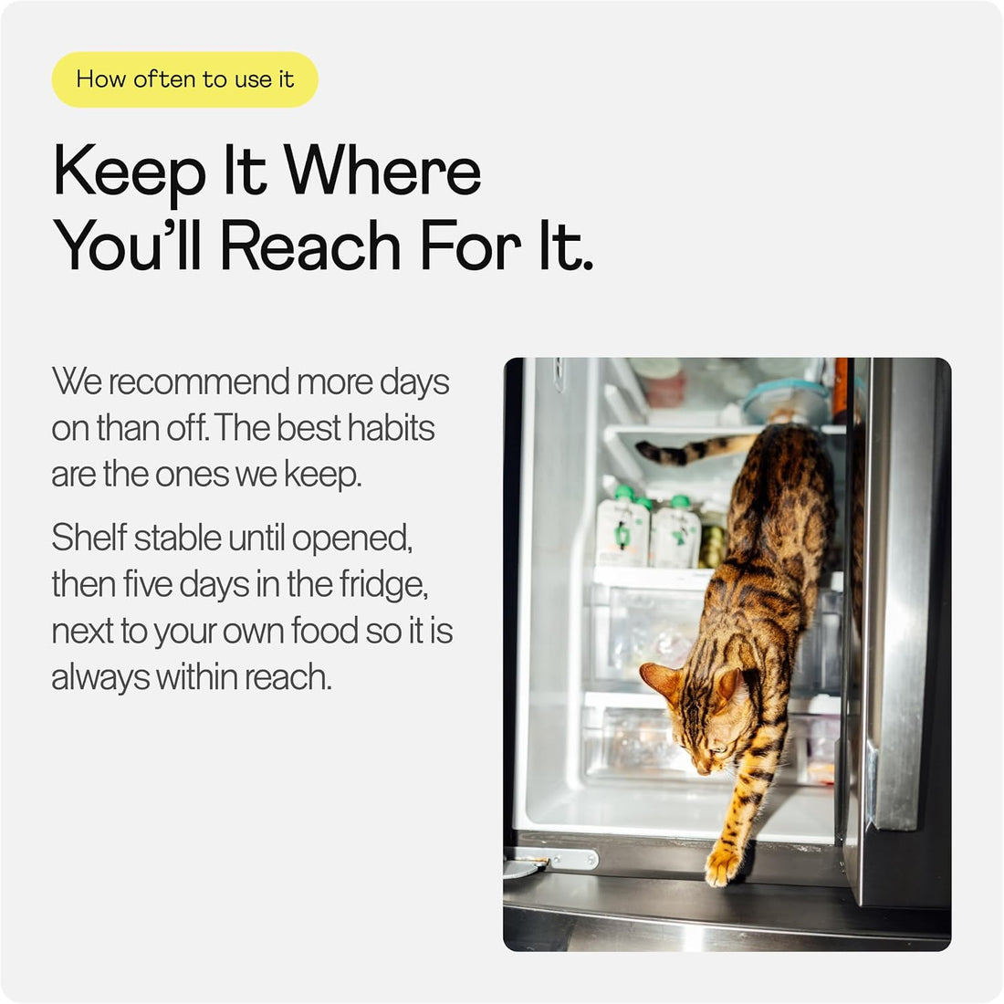 Rigby Essential Cat Treats, Wild-Caught Alaskan Salmon Lickable