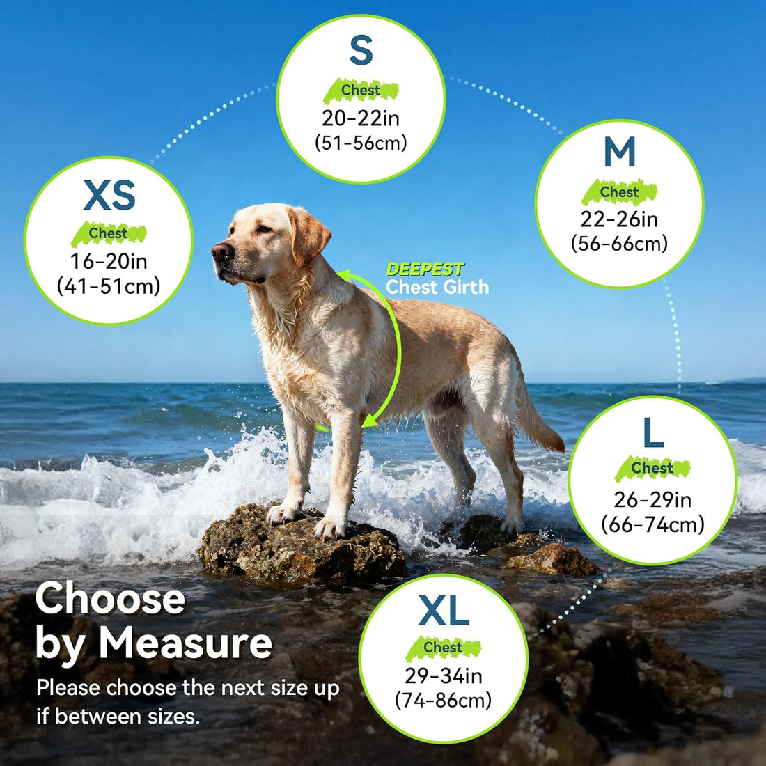 VIVAGLORY Dog Life Vest Neoprene Dog Swim Vest, M