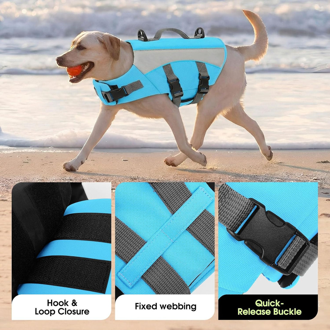 Dog Life Jacket, High Flotation Small Dog Life Vest for Swimming