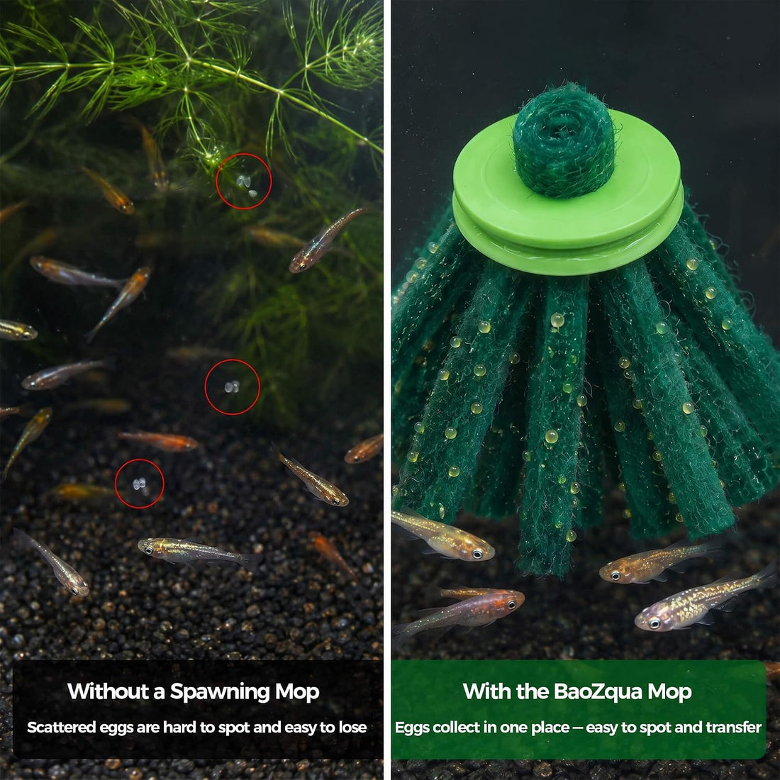 Medaka Spawning Mop Kit, 10 Floating Egg Collectors with Hatch Box