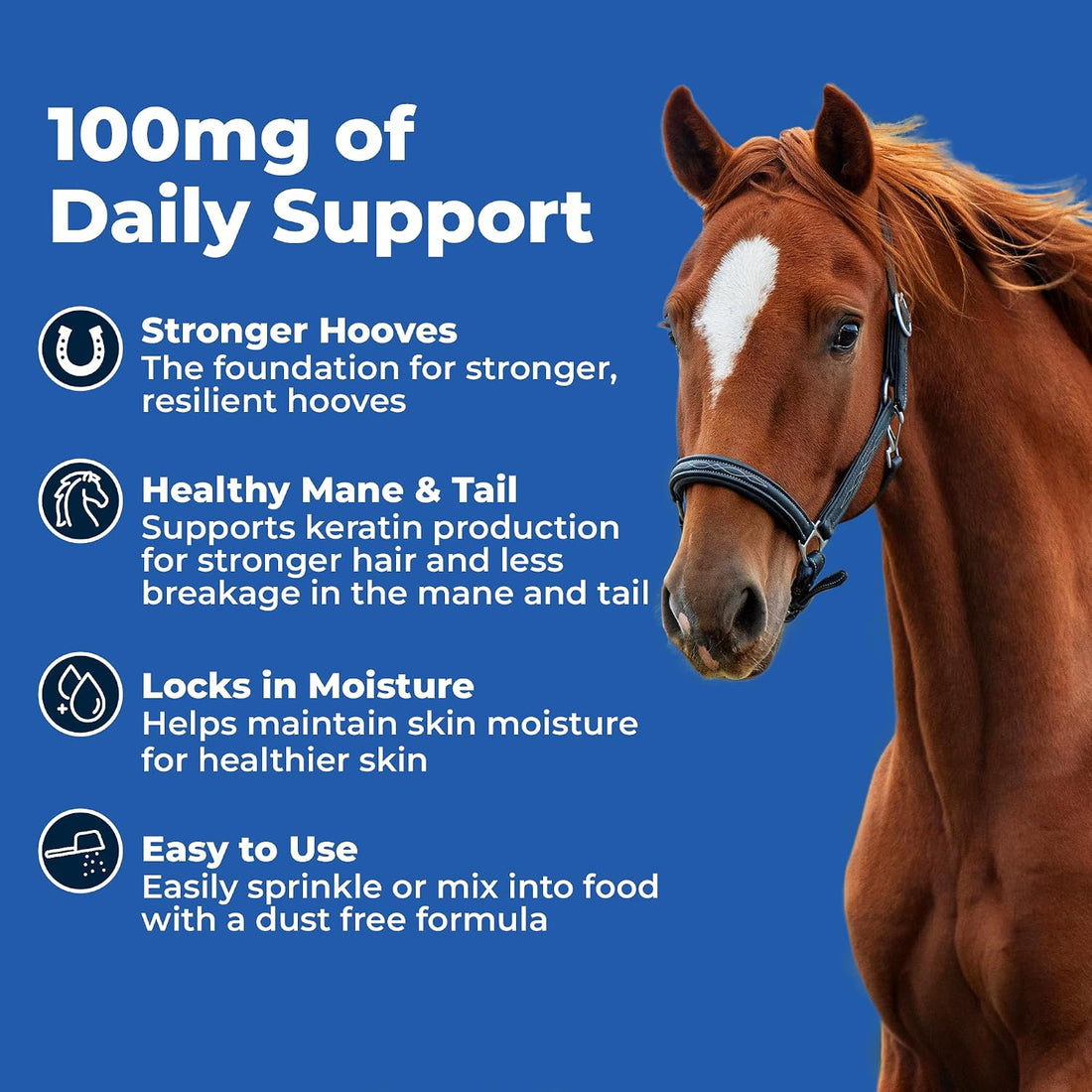 AniMed Biotin 100 Daily Horse Hoof Supplement & Equine Hair Growth