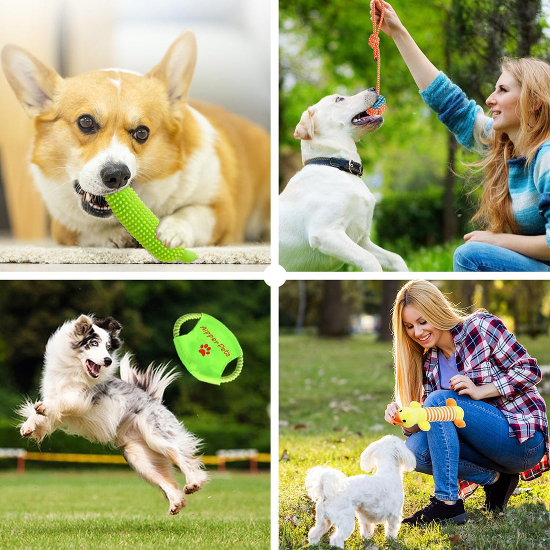 Aipper Dog Toys 25 Pack for Fun and Teeth Cleaning