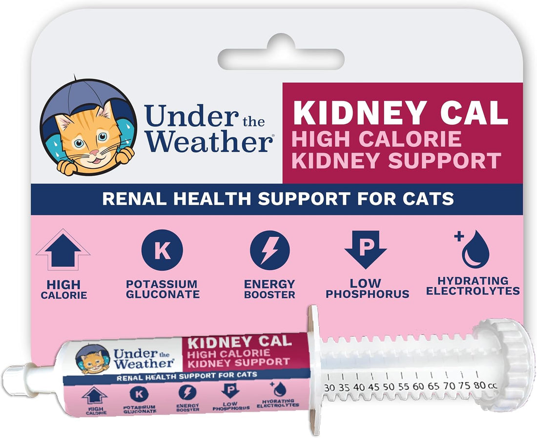 Under the Weather Pet Electrolytes Ready Cal Plus Gel for Cats