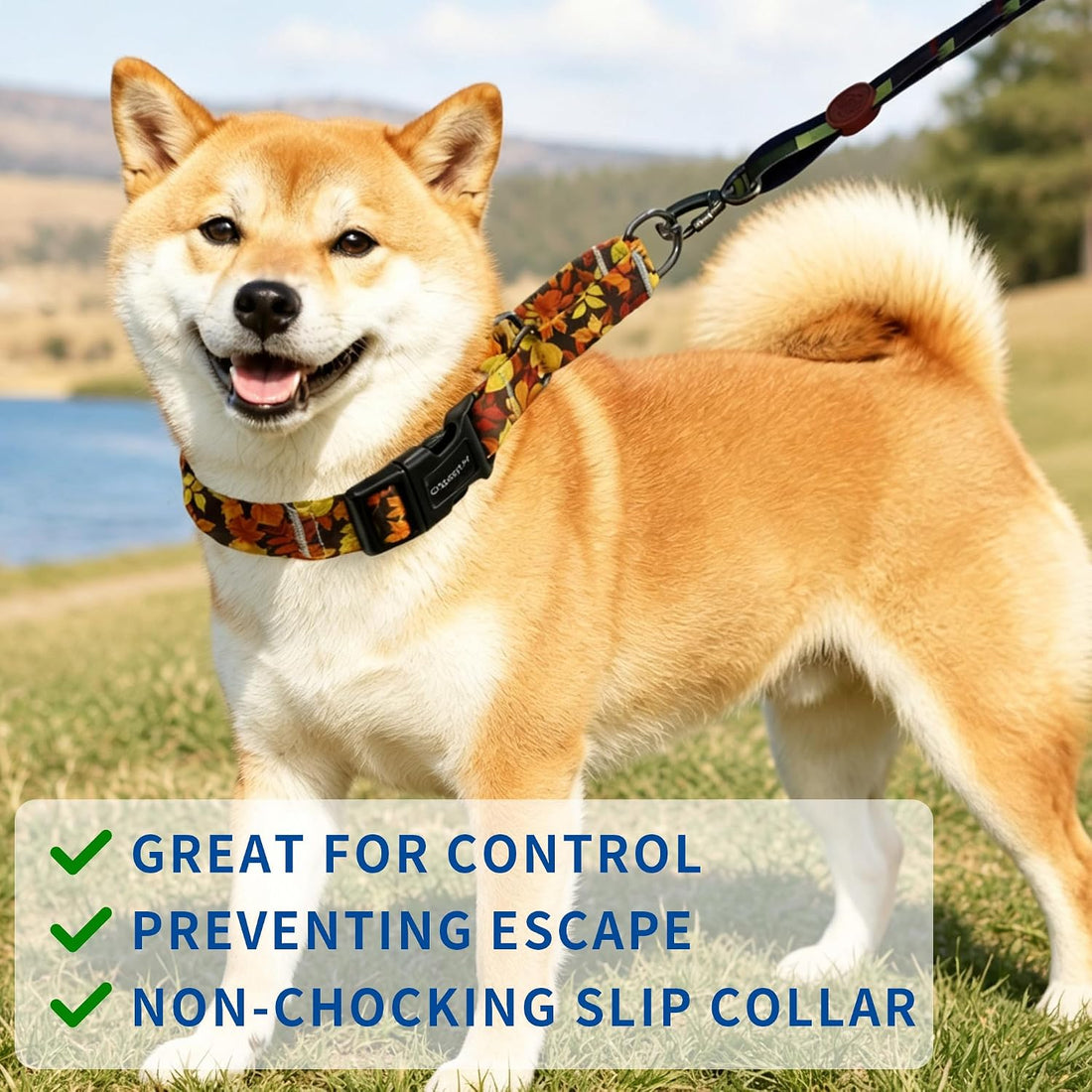 Kazazoo Martingale Collar for Dogs with Quick Release Buckle