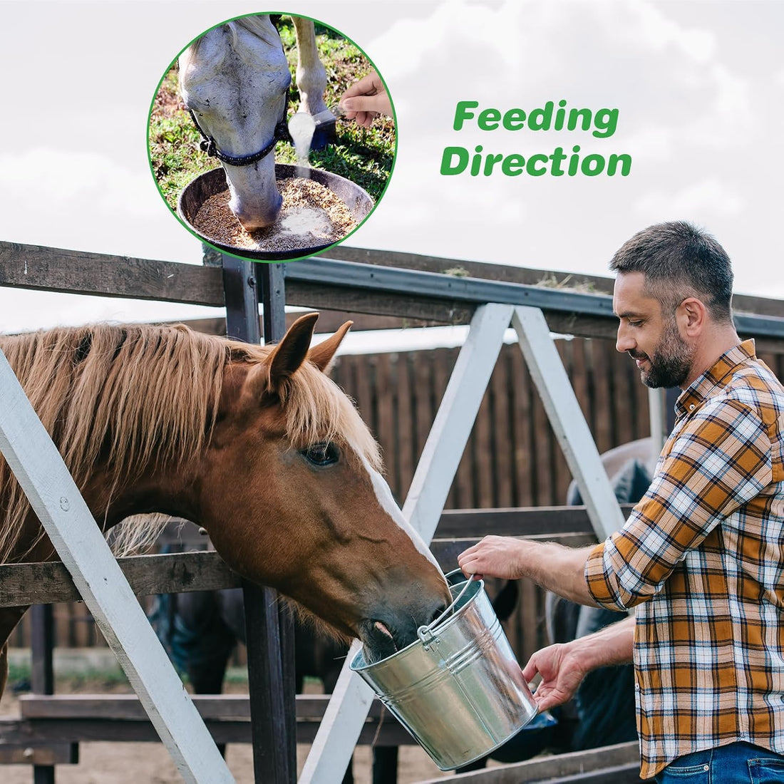 Vitamin E Horse Supplement Powder for Muscle, Nerve & Immune Support