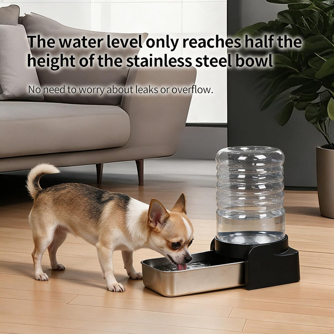 PAKEWAY 1.1 Gallon Gravity Cat Water Dispenser