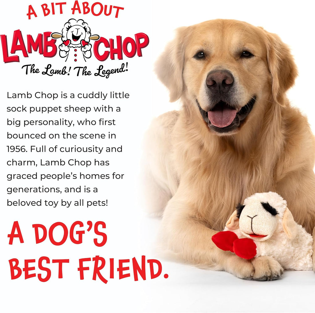 Multipet Lamb Chop Dog Plush Toy - Durable Lining - 10.5" - Blue Paws