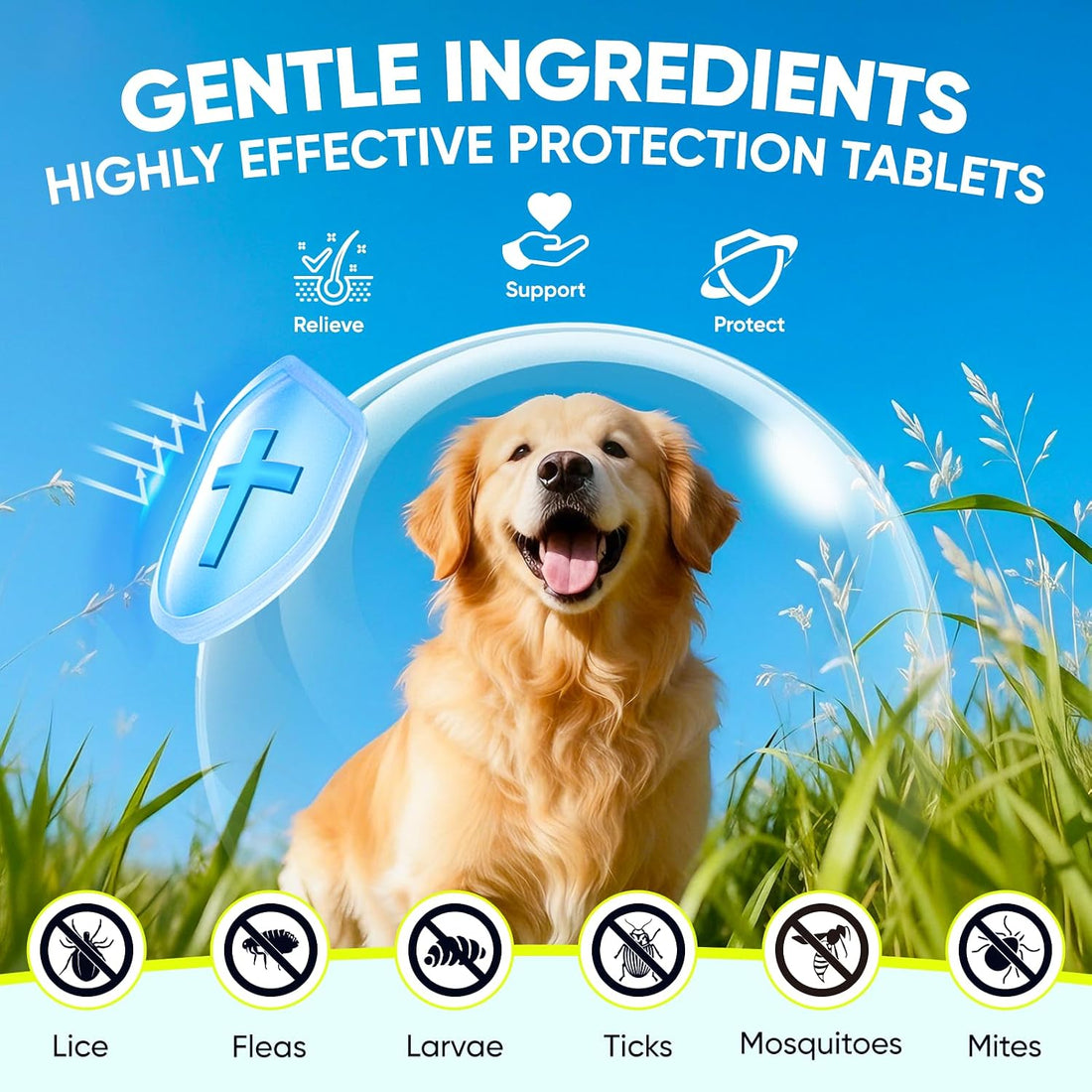 Dog Flea and Tick Treatment Chewable for 50 Count Pet Control Oral
