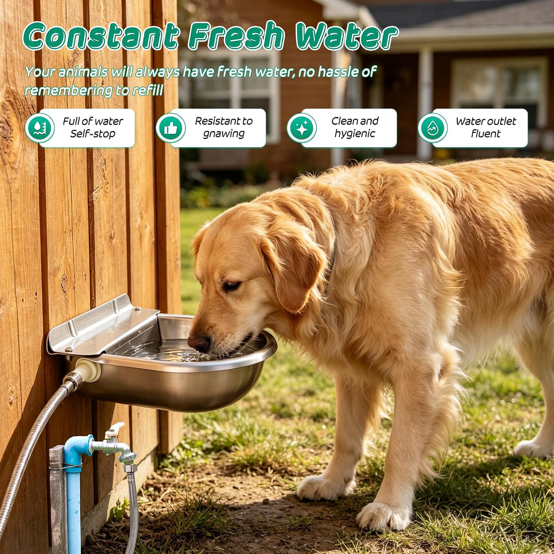 Automatic Livestock Waterer Bowl,304 Stainless Steel Float Valve Pet