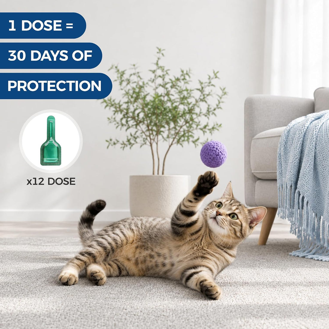 Miguelina 12 Pcs Flea & Tick Topical Spot-On Drops for Cat