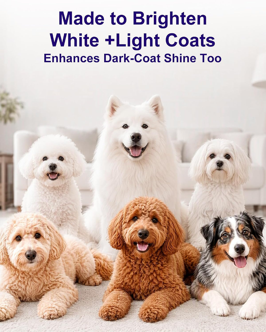 Dog Whitening Shampoo for White Dogs & Light-Colored Coats, 64oz