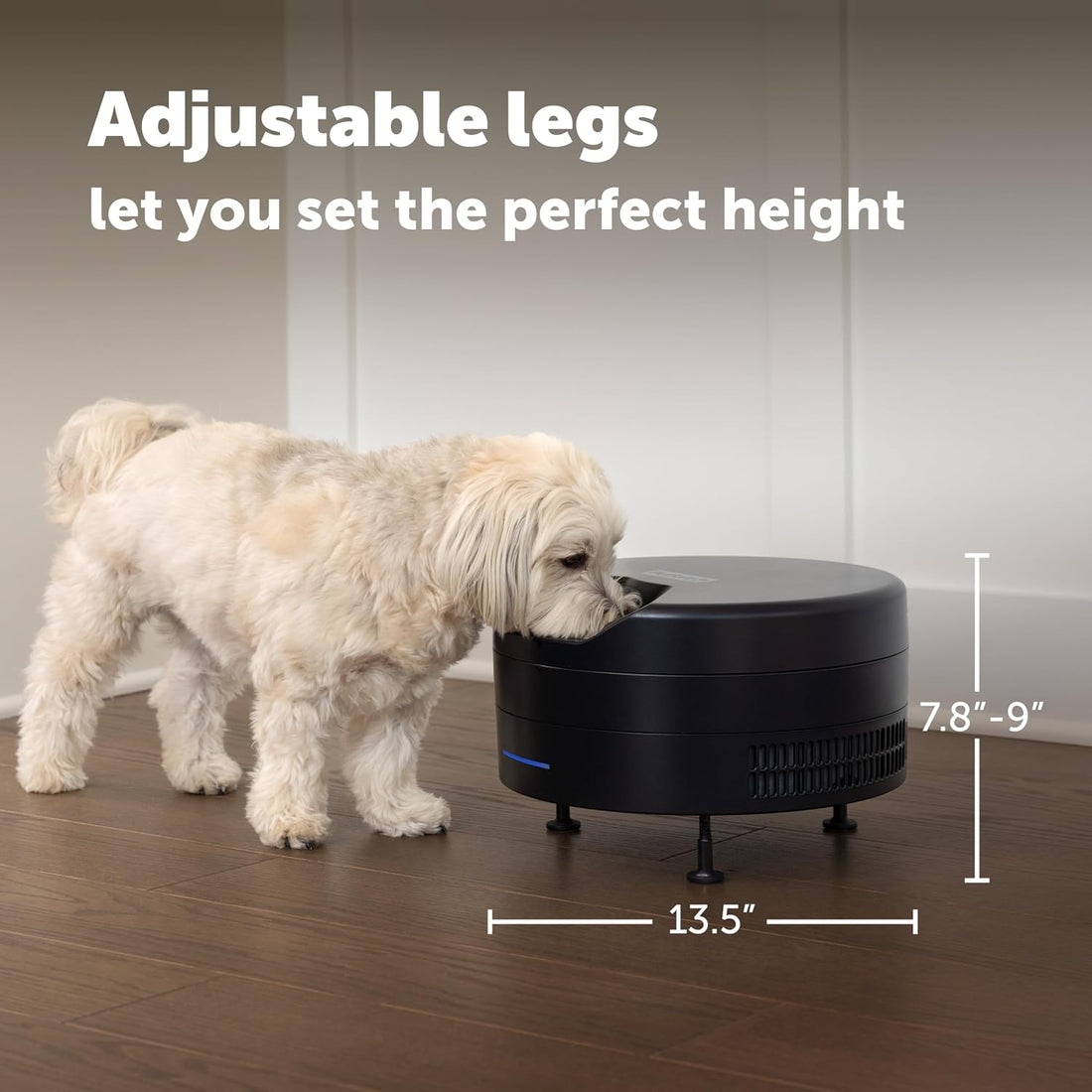 PetSafe FreshFeed Refrigerated Pet Feeder Automatic Wet Food Feeder