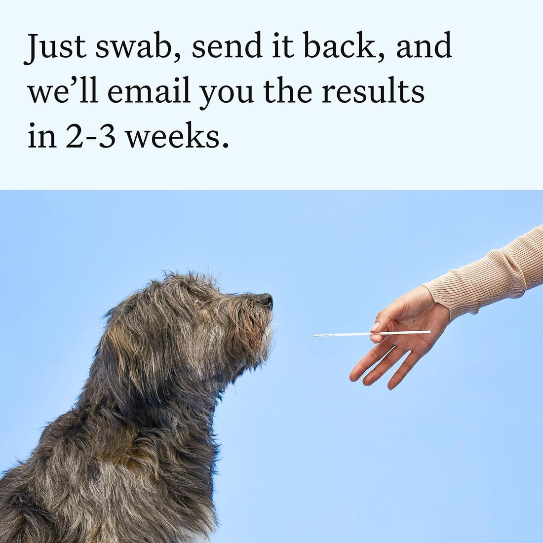 Wisdom Panel Essential Dog DNA Kit: Most Accurate Test for 365+ Breeds