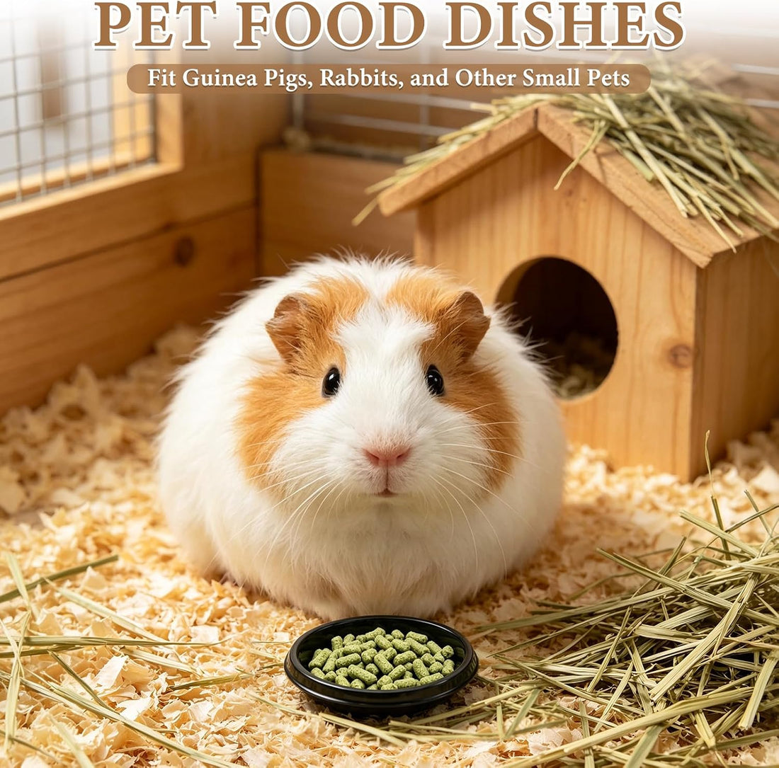 600 Pack Disposable Pet Feeding Bowls, Plastic Small Feeding Dish