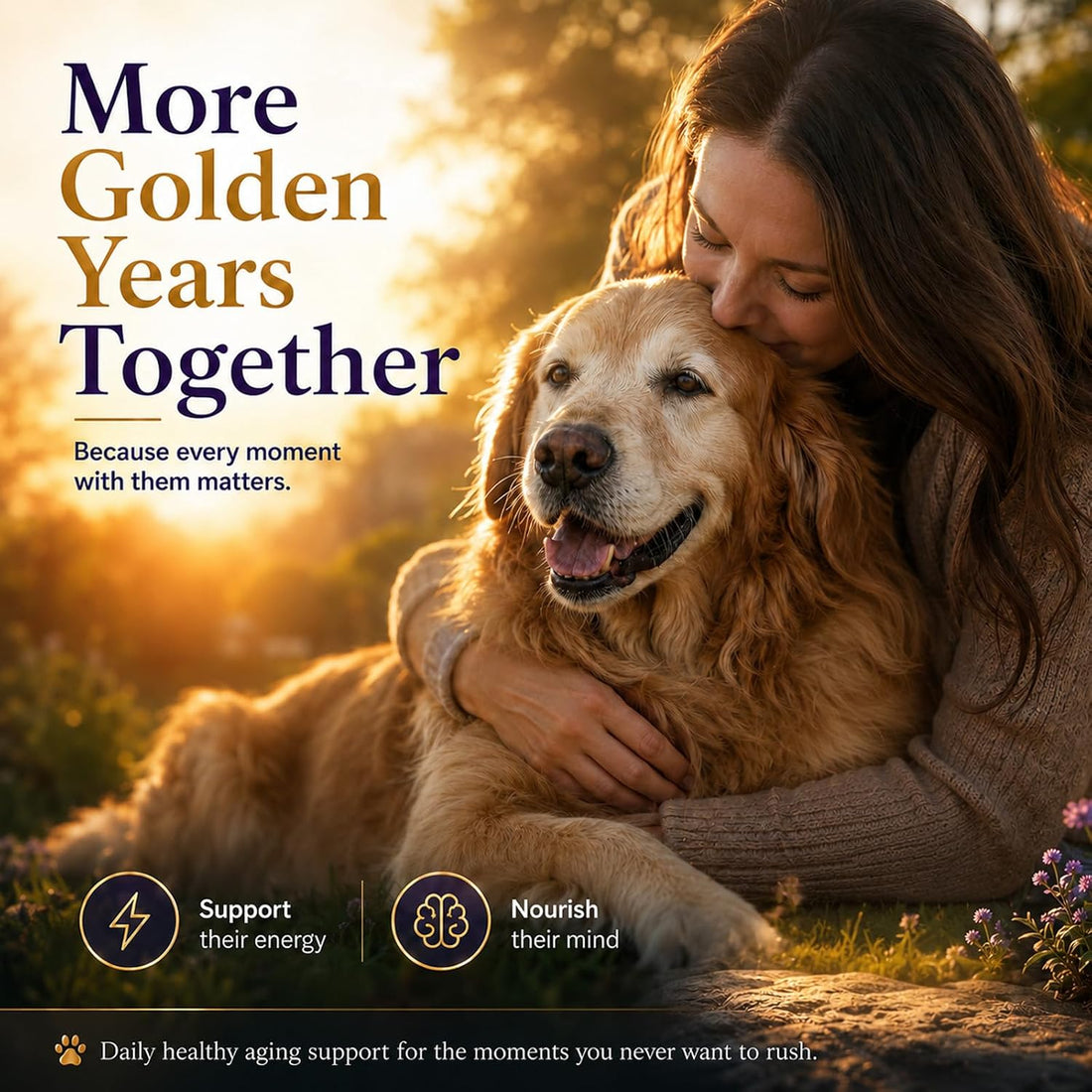 VUN NAD+ Longevity Drop for Senior Dogs Cognitive & Nervous System
