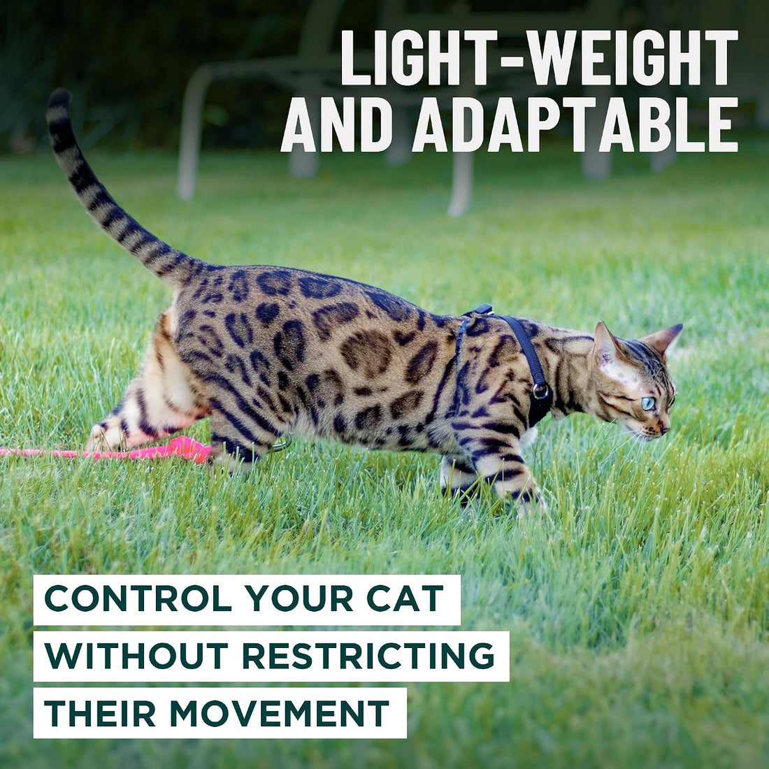 OutdoorBengal Houdini™ Escape Proof Cat Harness and Leash